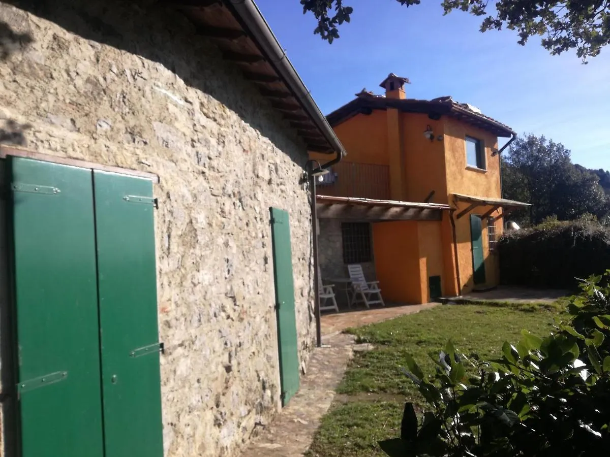 Villa Casa Beatrice Camaiore 0*,  Italien