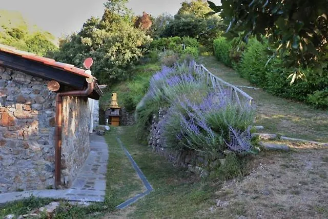 Ferienhaus Villa Casa Beatrice Camaiore